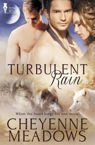 Kniha Turbulent Rain Cheyenne Meadows