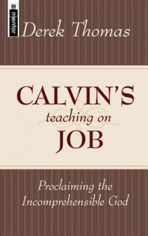 Kniha Calvin's Teaching on Job Derek Thomas
