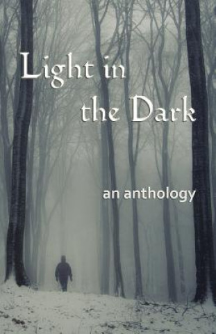 Kniha Light in the Dark Tracy Davidson