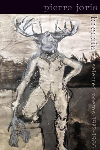 Buch Breccia Pierre Joris