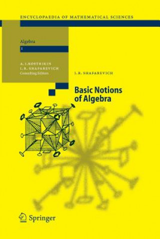 Könyv Basic Notions of Algebra IGOR R. SHAFAREVICH