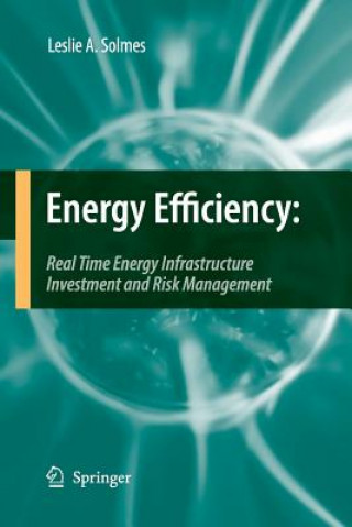 Kniha Energy Efficiency Leslie A. Solmes