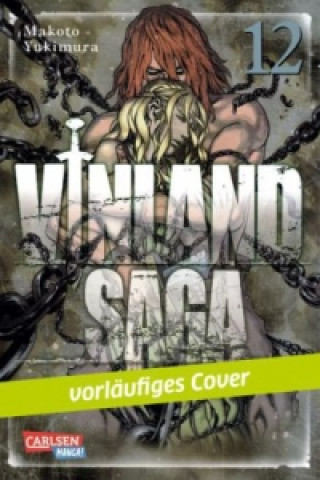 Kniha Vinland Saga. Bd.12 Makoto Yukimura