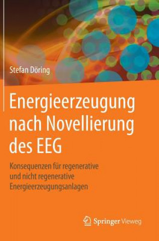 Kniha Energieerzeugung Nach Novellierung Des Eeg Stefan Döring