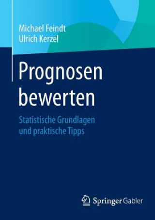 Książka Prognosen Bewerten Michael Feindt