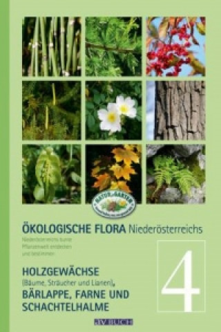 Carte Ökologische Flora Niederösterreichs. Bd.4 Wolfgang Holzner