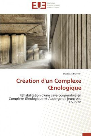 Book Cr ation d'Un Complexe Nologique Pratviel-S