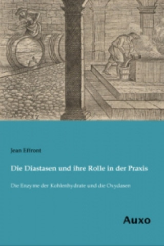 Könyv Die Diastasen und ihre Rolle in der Praxis Jean Effront