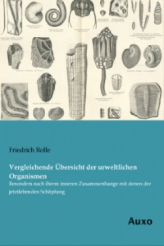 Carte Vergleichende Übersicht der urweltlichen Organismen Friedrich Rolle