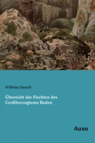 Carte Übersicht der Flechten des Großherzogtums Baden Wilhelm Bausch