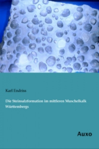Carte Die Steinsalzformation im mittleren Muschelkalk Württembergs Karl Endriss