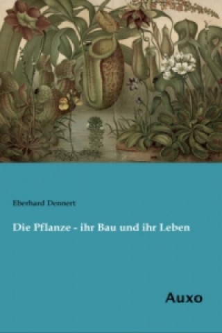 Libro Die Pflanze - ihr Bau und ihr Leben Eberhard Dennert