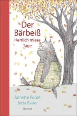 Knjiga Der Bärbeiß - Herrlich miese Tage Annette Pehnt