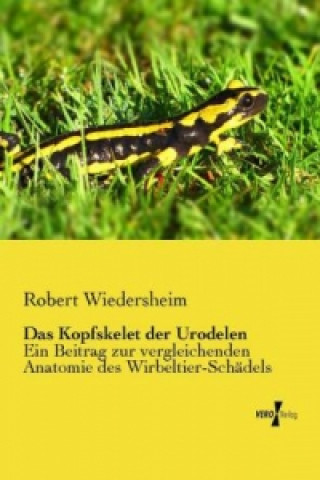 Libro Das Kopfskelet der Urodelen Robert Wiedersheim