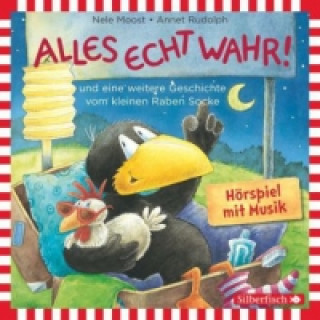 Аудио Alles echt wahr!, Macht ja nix! (Der kleine Rabe Socke), 1 Audio-CD Nele Moost