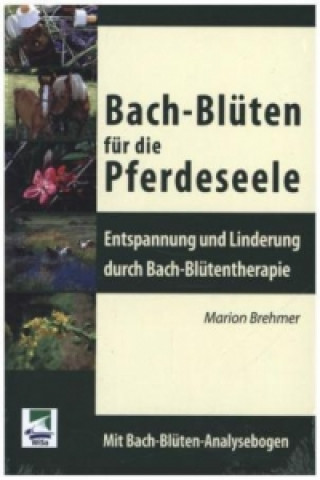 Carte Bach-Blüten für die Pferdeseele Marion Brehmer