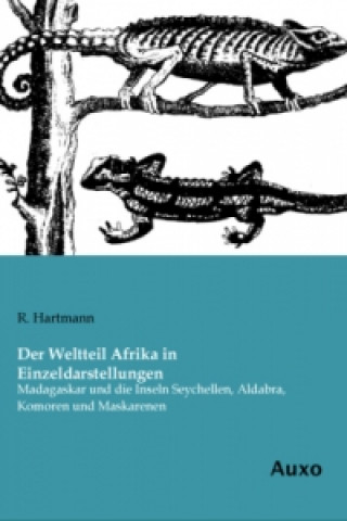 Könyv Der Weltteil Afrika in Einzeldarstellungen R. Hartmann
