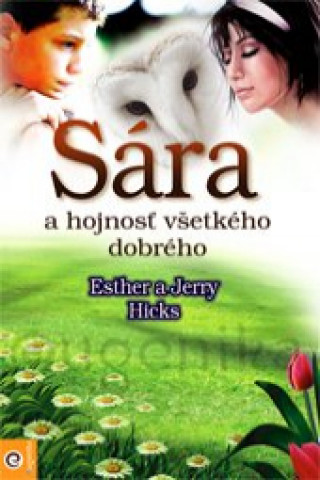 Kniha Sára a hojnosť všetkého dobrého Jerry Hicks