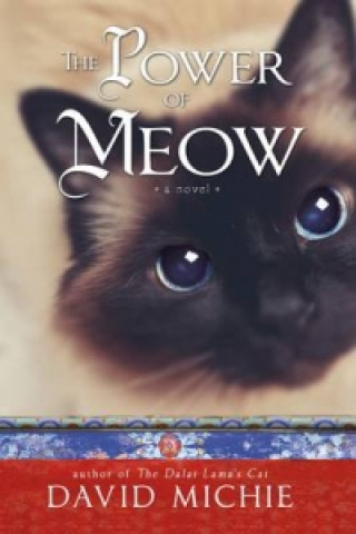 Kniha Power of Meow David Michie