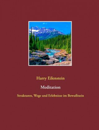 Libro Meditation Harry Eilenstein