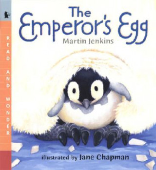 Knjiga Emperors Egg: Read & Wonder Martin Jenkins & Jane Chapman