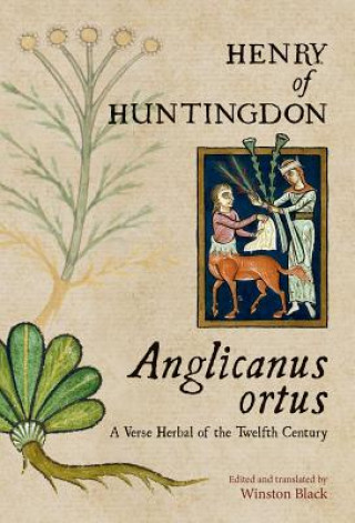 Livro ANGLICANUS ORTUS Henry of Huntingdon