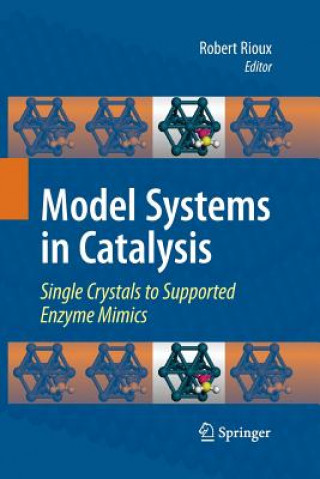 Książka Model Systems in Catalysis Robert Rioux