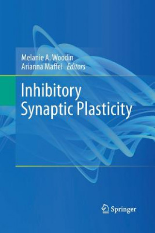 Livro Inhibitory Synaptic Plasticity Arianna Maffei