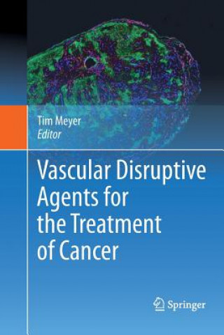 Kniha Vascular Disruptive Agents for the Treatment of Cancer Tim Meyer