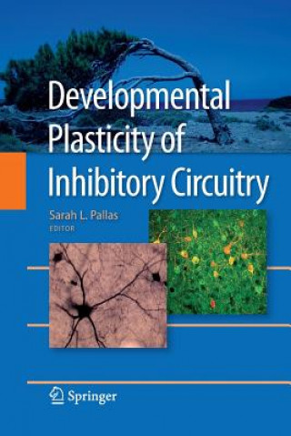 Książka Developmental Plasticity of Inhibitory Circuitry Sarah L. Pallas