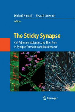 Buch Sticky Synapse Michael Hortsch