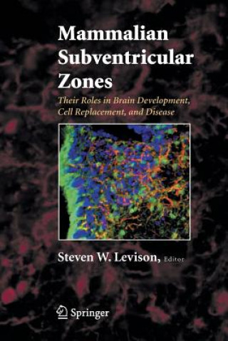 Kniha Mammalian Subventricular Zones Steve Levison