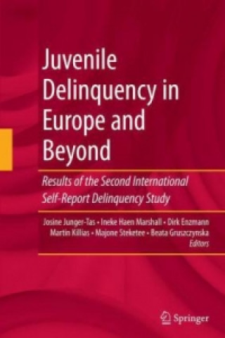 Kniha Juvenile Delinquency in Europe and Beyond Dirk Enzmann