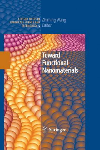 Kniha Toward Functional Nanomaterials Zhiming M Wang