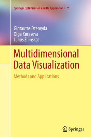 Boek Multidimensional Data Visualization Gintautas Dzemyda