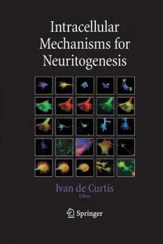 Książka Intracellular Mechanisms for Neuritogenesis Ivan Curtis