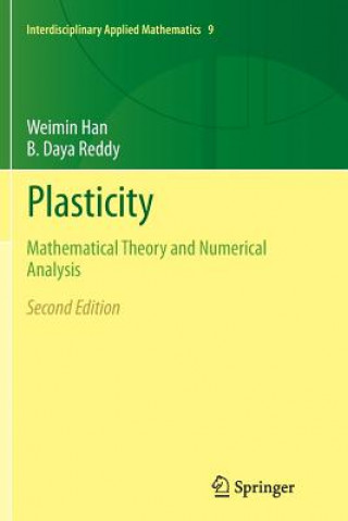 Książka Plasticity Weimin Han