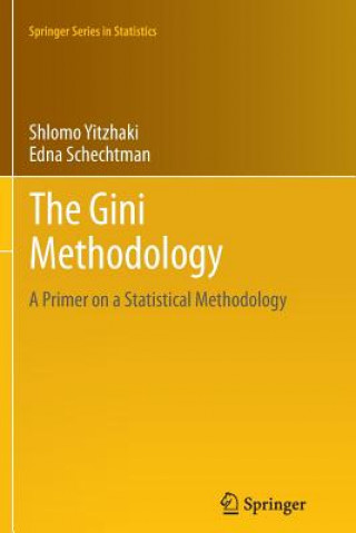 Kniha Gini Methodology Shlomo Yitzhaki