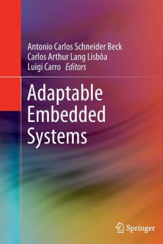 Carte Adaptable Embedded Systems Antonio Carlos Schneider Beck