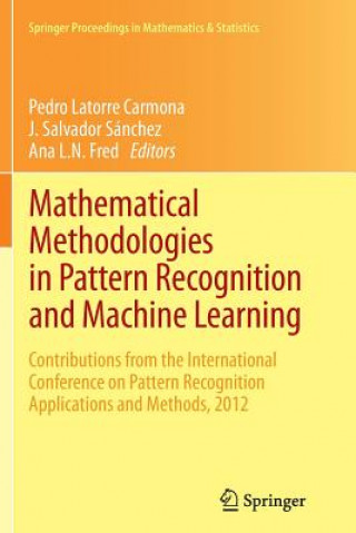Könyv Mathematical Methodologies in Pattern Recognition and Machine Learning Ana L. N. Fred