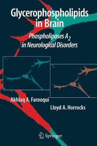 Könyv Glycerophospholipids in the Brain Akhlaq A. Farooqui