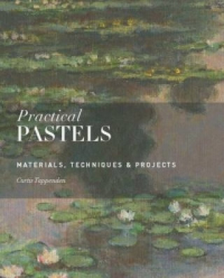 Kniha Practical Pastels Curtis Tappenden