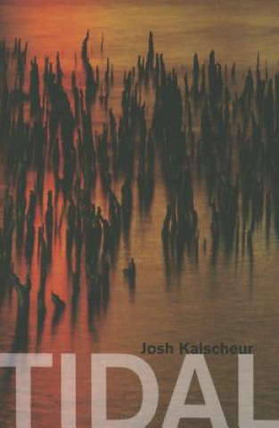 Knjiga Tidal Josh Kalscheur