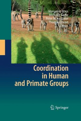 Kniha Coordination in Human and Primate Groups Margarete Boos