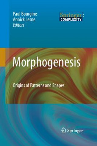 Carte Morphogenesis Paul Bourgine