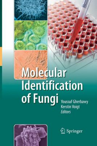 Carte Molecular Identification of Fungi Youssuf Gherbawy