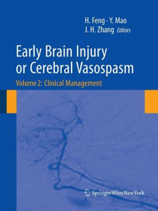 Kniha Early Brain Injury or Cerebral Vasospasm Hua Feng