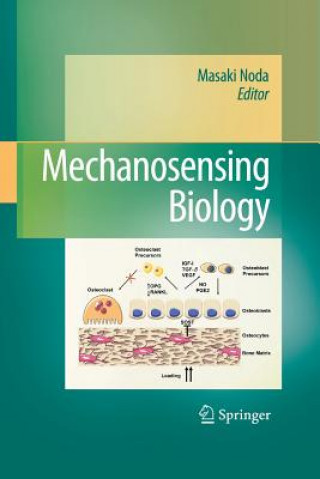 Книга Mechanosensing Biology Masaki Noda