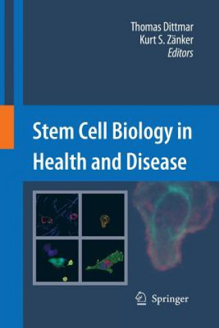 Könyv Stem Cell Biology in Health and Disease Thomas Dittmar