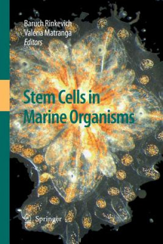 Книга Stem Cells in Marine Organisms Valeria Matranga